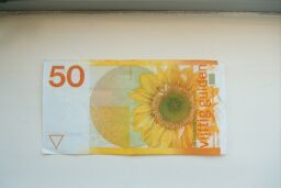 Dutch currency