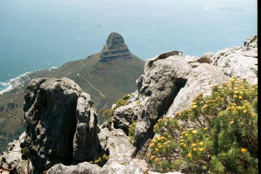  A view from Table Mountain