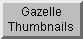 Gazelle Thumbnails