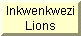 Go to Inkwenkwezi Lion pictures