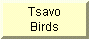 Go to Tsavo Bird pictures