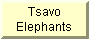 Go to Tsavo Elephant pictures