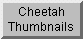 Cheetah Thumbnails