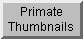 Primate Thumbnails