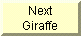 Go to next Giraffe Picture