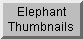 Elephant Thumbnails